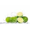 Arôme : Lime Tahity Cold Pressed
Dernière mise à jour le : 25-12-2014 Arôme : Lime Tahity Cold Pressed
Dernière mise à jour le : 25-12-2014