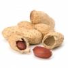 Flavor :  Peanut by FlavourArt