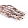 Flavor :  Squid by FlavourArt
