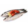 Flavor :  Tuna by FlavourArt