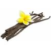 Arôme : madagascar vanilla classic par FlavourArt Arôme : madagascar vanilla classic par FlavourArt