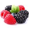 Flavor :  Loganberry by FlavourDorado