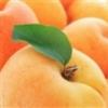 Flavor :  Apricot by Flavour Fog