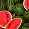 Flavor :  Watermelon by Flavour Fog