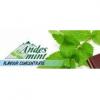 Flavor :  Andes Mint by Flavours Lab
