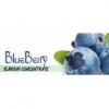 Flavor :  Blueberry by Flavours Lab