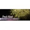 Flavor :  Fresh Blast by Flavours Lab