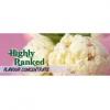 Flavor :  Highly Ranked by Flavours Lab