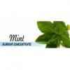 Flavor :  Mint par FLAVOURS LAB