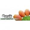 Flavor :  Opuntia Cactus by Flavours Lab