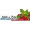Flavor :  Raspberry Mint by Flavours Lab
