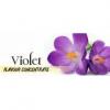 Flavor :  Violet by Flavours Lab