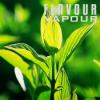 Flavor :  Mint by Flavour Vapour