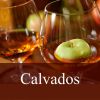 Flavor :  Calvados by Fly me to Mars