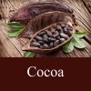 Flavor :  Cocoa by Fly me to Mars
