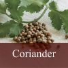 Flavor :  Coriander by Fly me to Mars