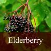 Flavor :  Elderberry by Fly me to Mars