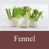 Flavor :  Fennel by Fly me to Mars