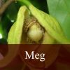 Flavor :  Meg par FLY ME TO MARS
