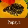 Flavor :  Papaya by Fly me to Mars