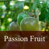 Flavor :  Passion Fruit by Fly me to Mars