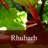 Flavor :  Rhubarb by Fly me to Mars