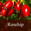 Flavor :  Rosehip by Fly me to Mars