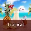 Flavor :  Tropical by Fly me to Mars