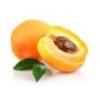 Flavor :  Apricot by Fumantia