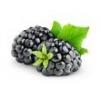 Flavor :  Blackberry by Fumantia