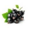 Flavor :  Blueberry by Fumantia