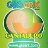 Flavor :  Cantalupo by Gioark