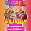 Flavor :  Ciliegia by Gioark