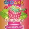 Flavor :  Lampone by Gioark