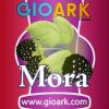 Flavor :  Mora by Gioark