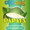 Flavor :  Papaya by Gioark