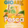 Flavor :  Pesca by Gioark