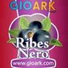 Flavor :  Ribes Nero by Gioark