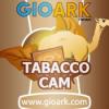 Flavor :  Tabacco Cam by Gioark