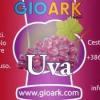 Flavor :  Uva by Gioark