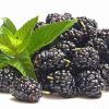 Flavor :  Blackberry by Hangsen