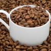 Flavor :  Cocoa by Hangsen
