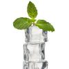 Flavor :  Green Mint by Hangsen