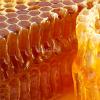 Flavor :  Honey by Hangsen