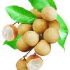 Flavor :  Longan by Hangsen