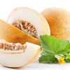 Flavor :  Melon by Hangsen