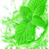 Arôme : Mint
Dernière mise à jour le : 12-04-2015 Arôme : Mint
Dernière mise à jour le : 12-04-2015