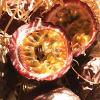 Flavor :  Passion Fruit by Hangsen