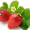 Flavor :  Strawberry by Hangsen
