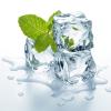 Flavor :  Super Mint by Hangsen